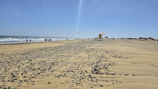 GC-Playa El Veril (Playa del Ingles) 2025-21.jpg